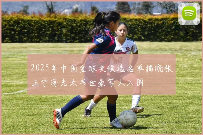 2025年中国金球奖候选名单揭晓张玉宁蒋光太韦世豪等人入围